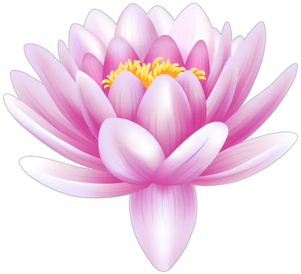 Animated Lotus Png