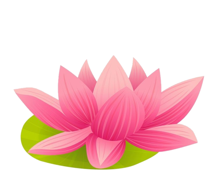 Lotus Flower Vector Png