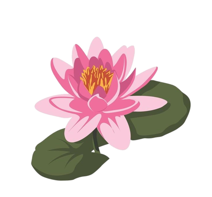 Lotus Flower vector Png