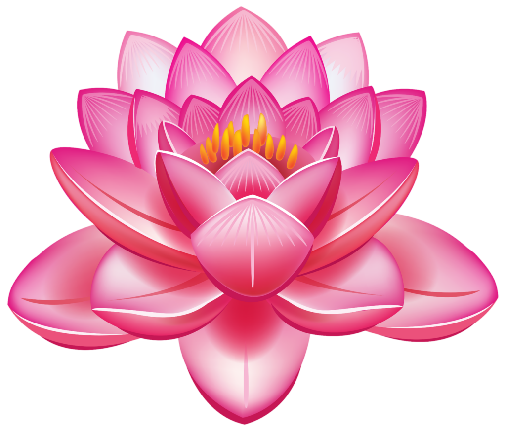 Lotus Flower illustration Png