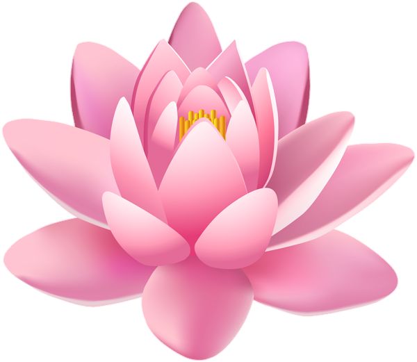 Animated Lotus Flower Png