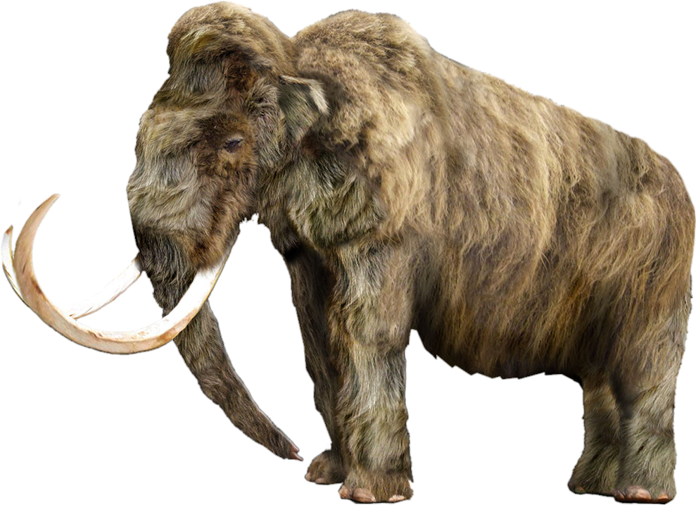 Mammoth-1