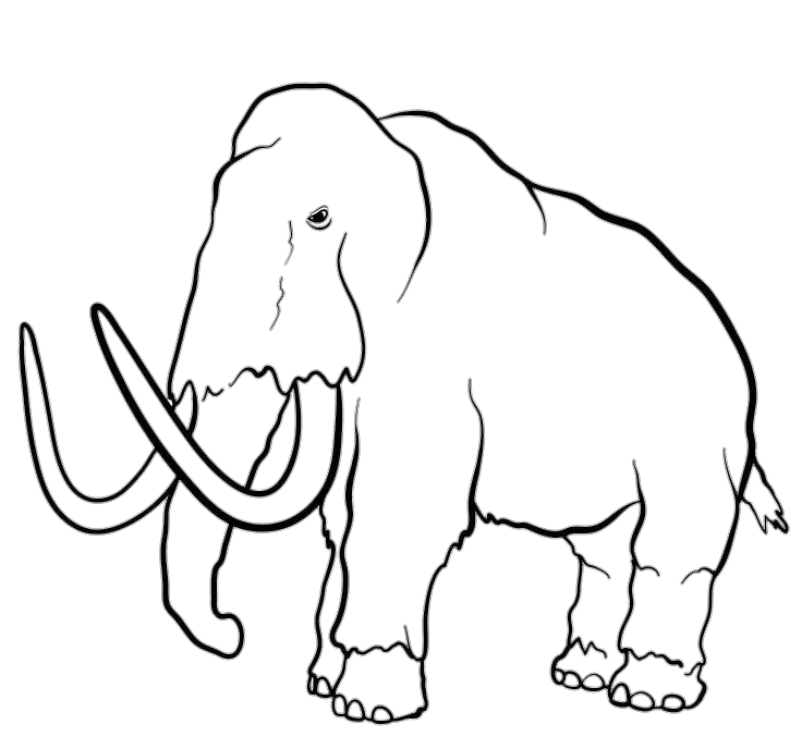 Mammoth Drawing Png