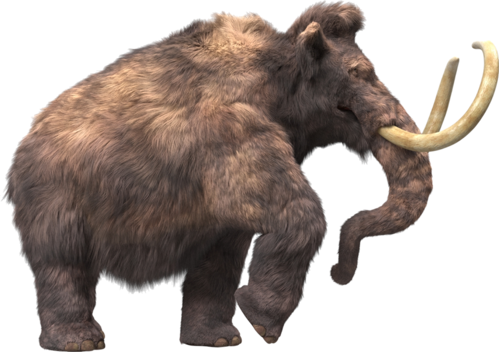 Wooly Mammoth Png