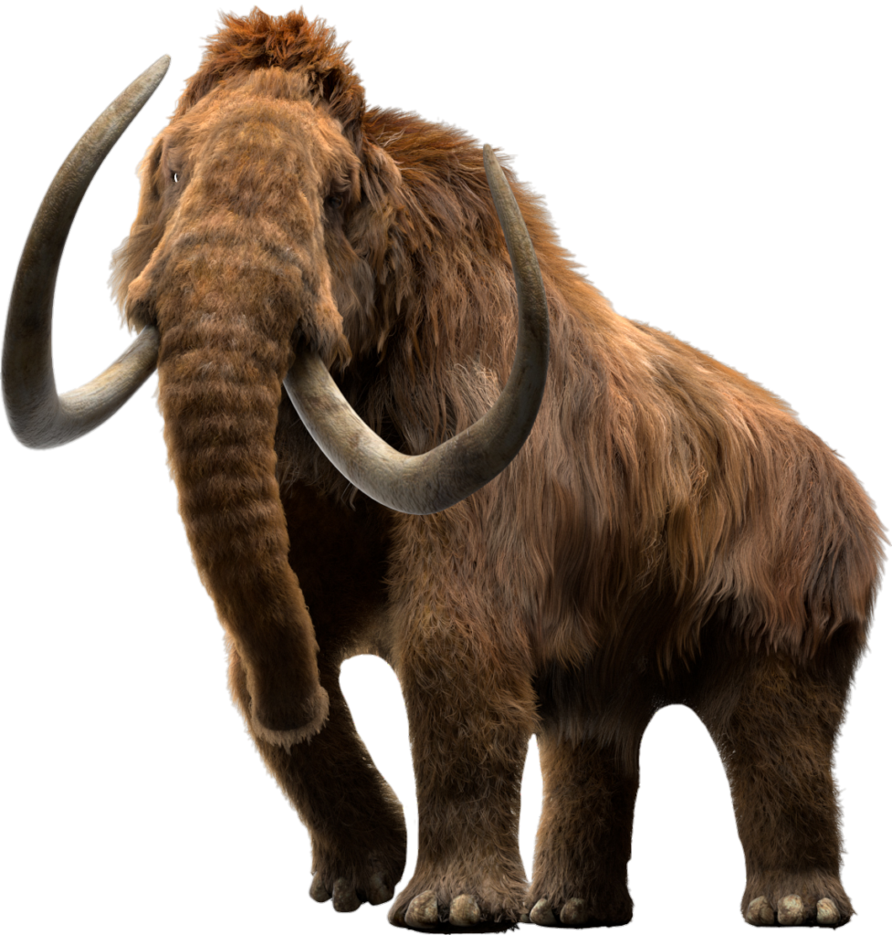 Wooly Mammoth Png Image