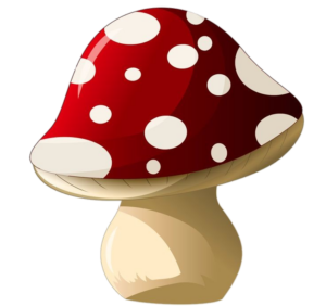 Red Mushroom clipart PNG