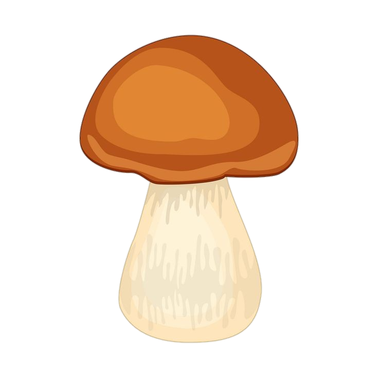 Brown Mushroom Drawing PNG