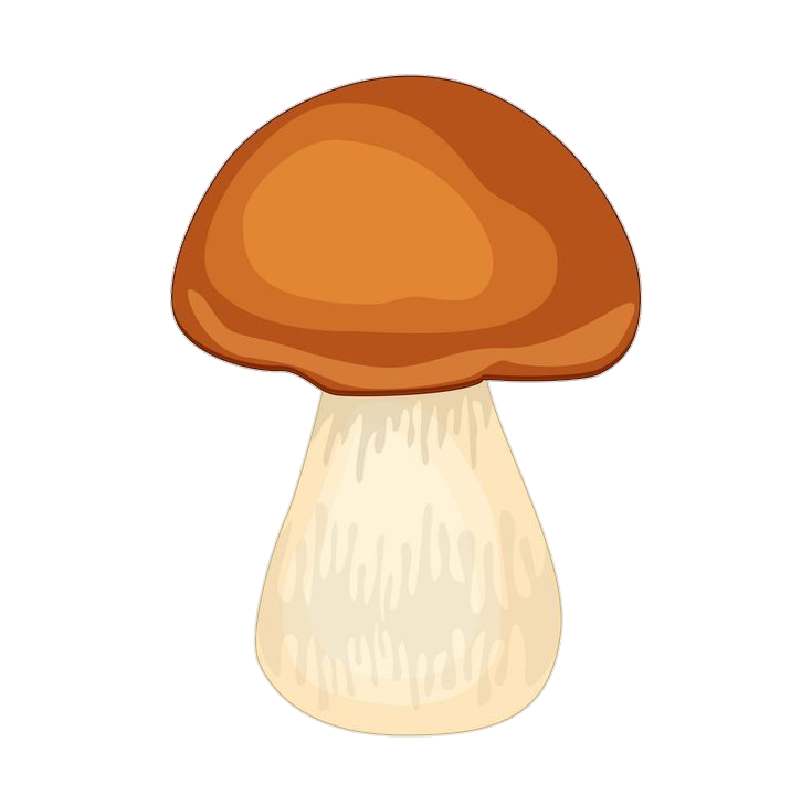 Mushroom-10