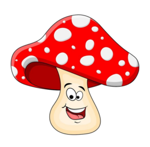 Cartoon Mushroom PNG