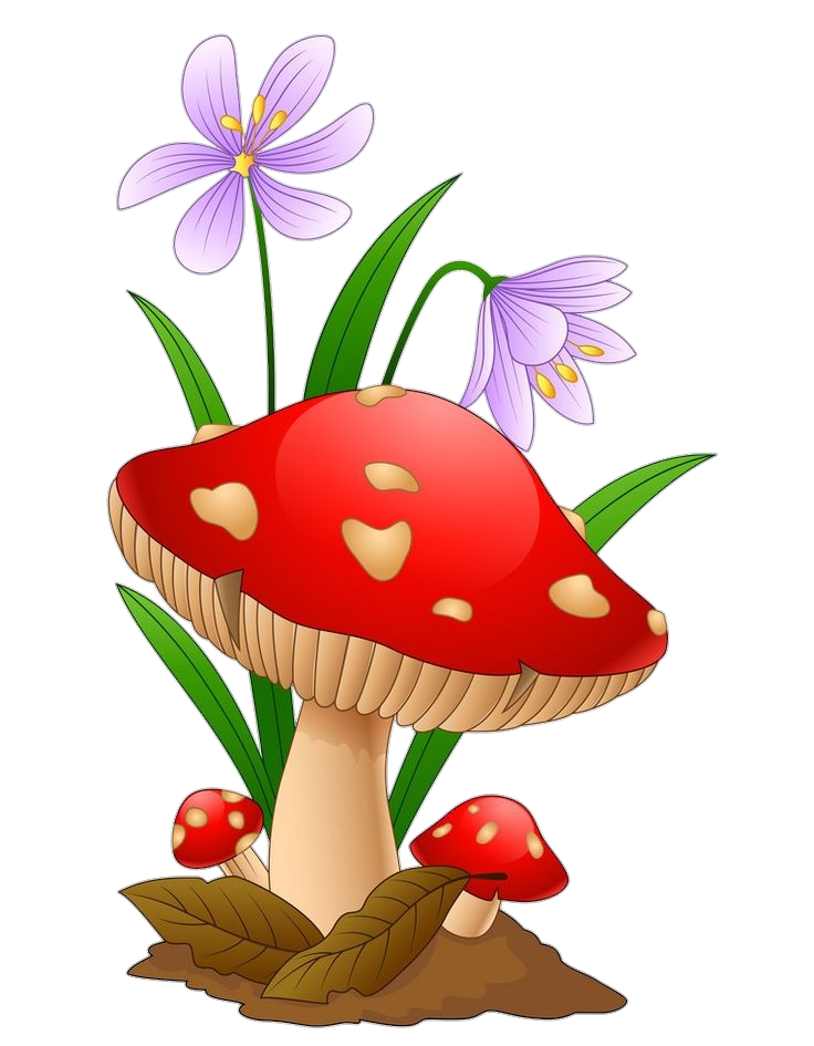 Mushroom clipart PNG