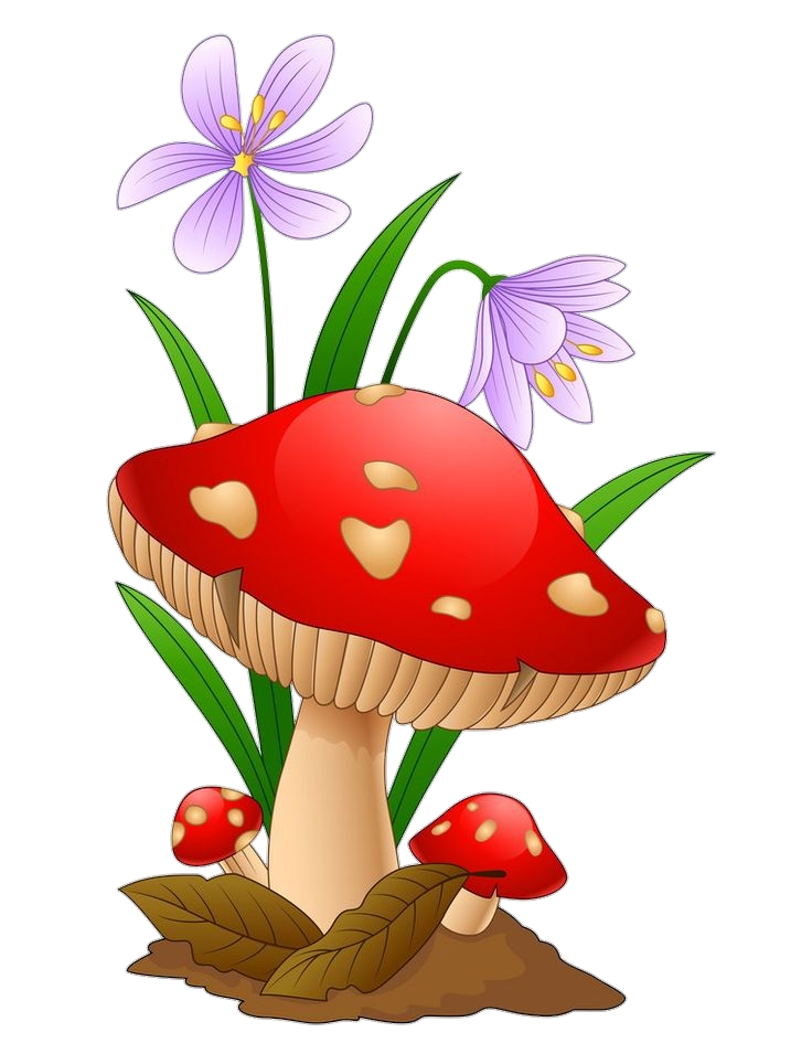 Mushroom-13