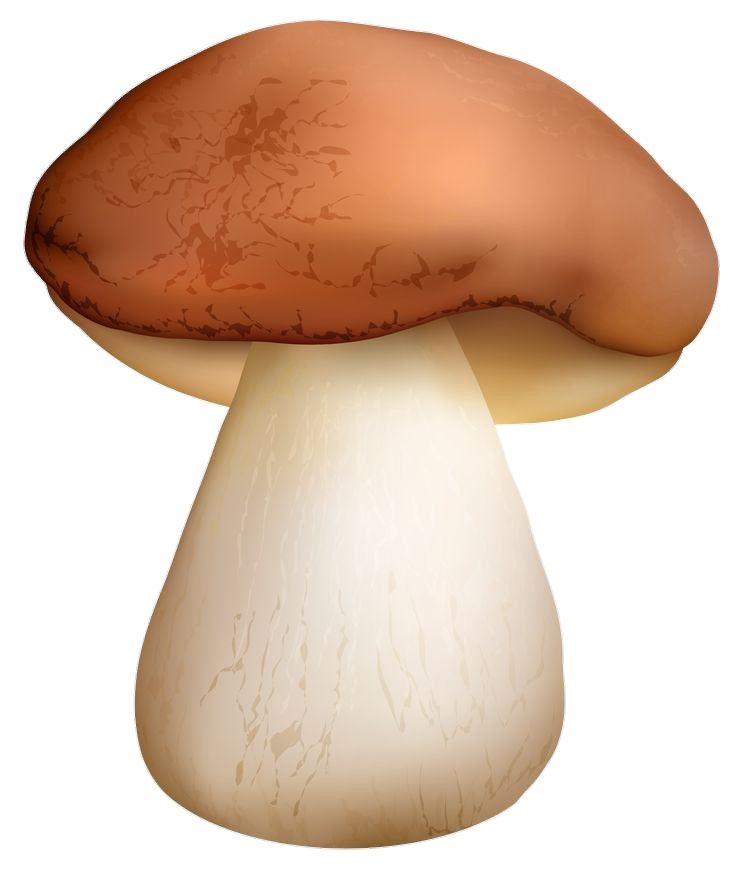 Mushroom-14