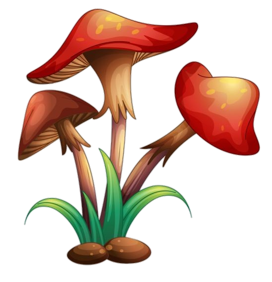 Fairy World Mushroom clipart PNG
