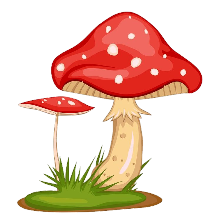Mushroom-16