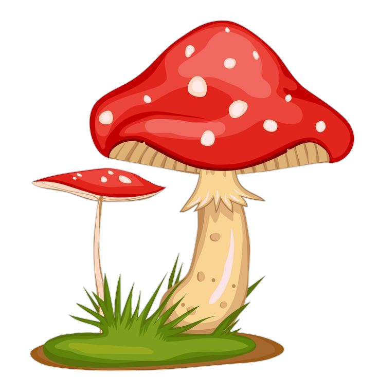 Mushroom PNG Transparent Images Free Download - Pngfre