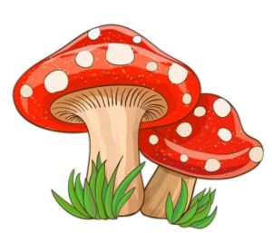 Mushroom-2