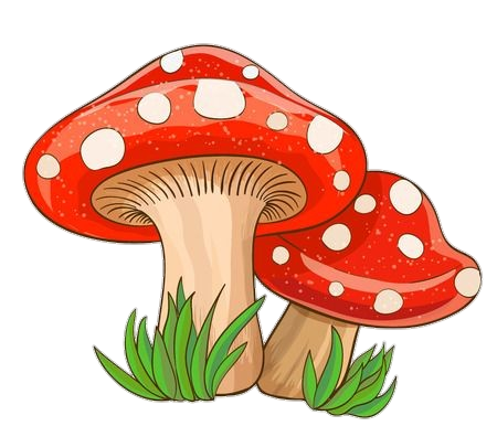 Mushroom clipart PNG