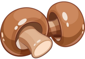 Brown Button Mushroom Illustration PNG