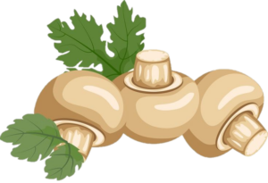 Mushroom-24