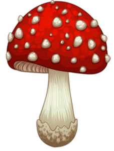 Mushroom-30