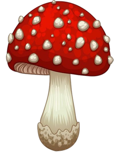Red Mushroom Clipart PNG