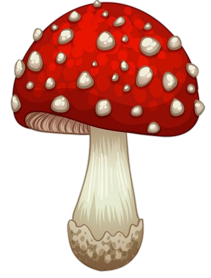 Mushroom-30