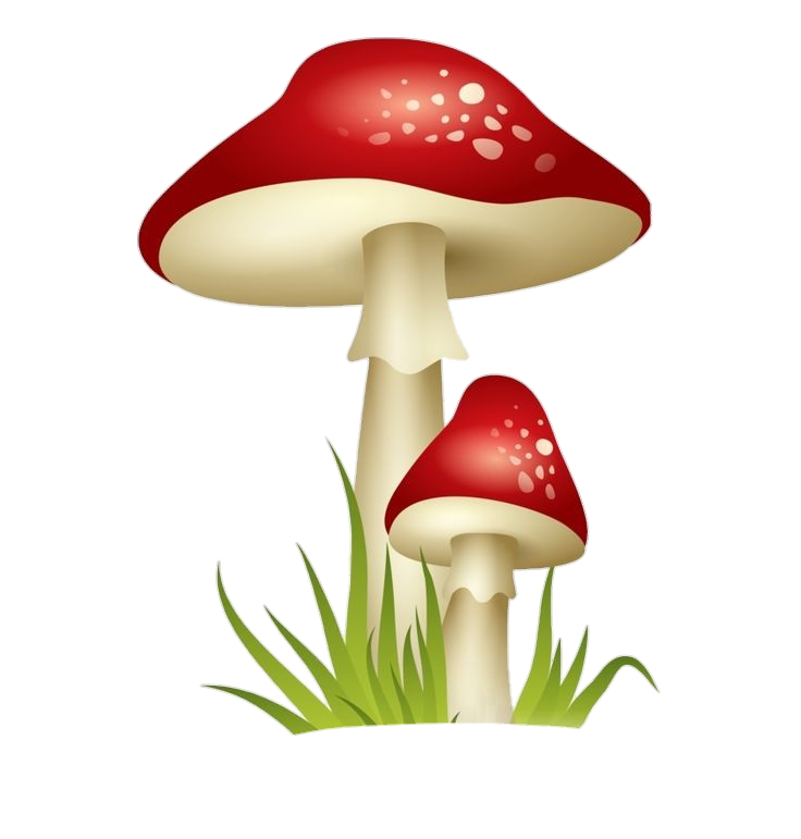 Animated Mushroom PNG