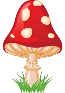 Mushroom-7