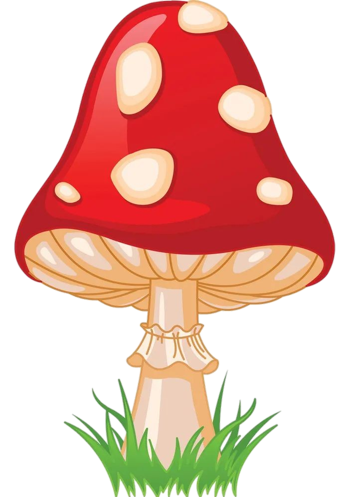 Mushroom-7