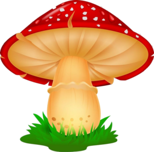 Mushroom-8
