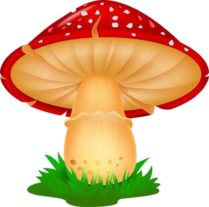 Animated Mushroom PNG