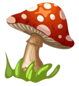 Mushroom-9