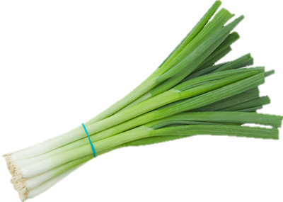 Spring Onion png