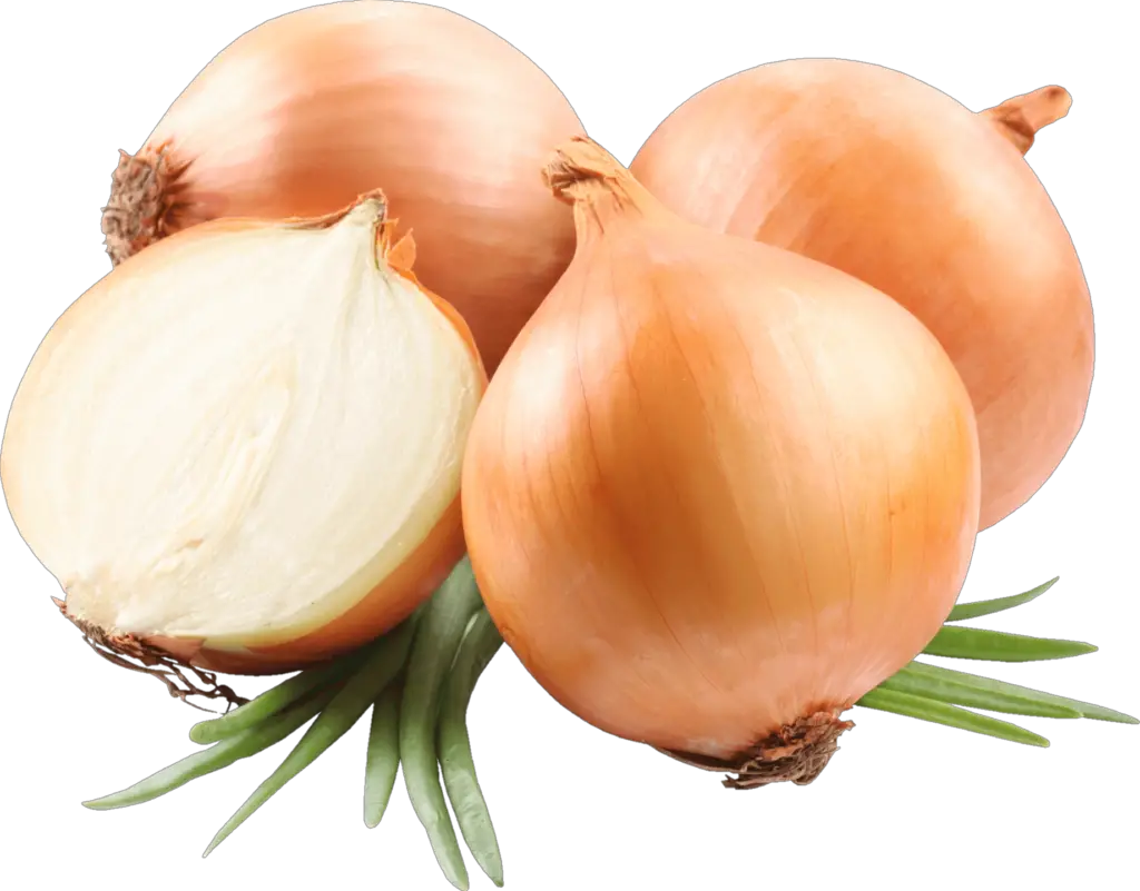 Yellow Onion png