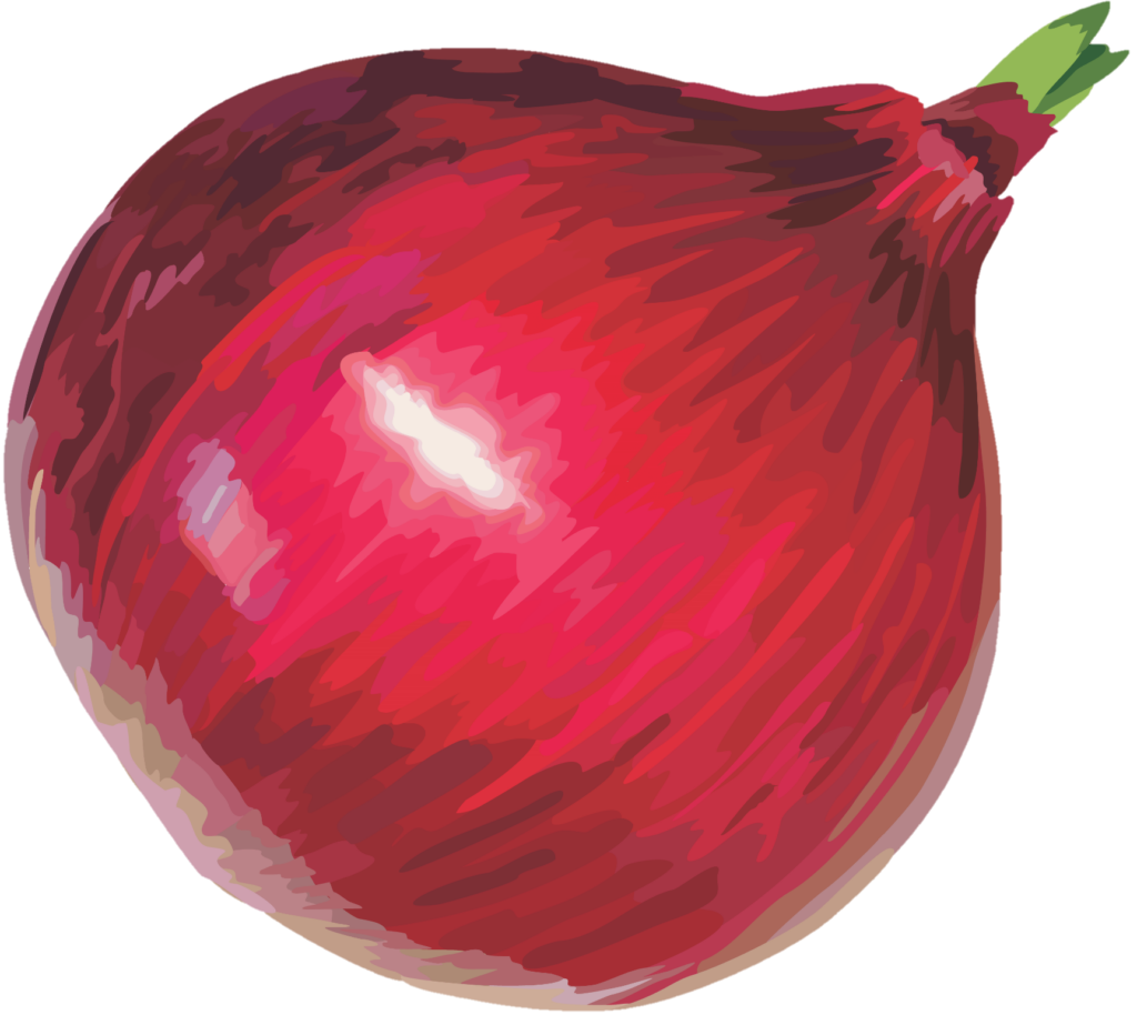 Red Onion png clipart picture 