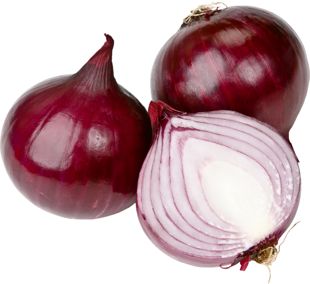 Vegetable Onion png