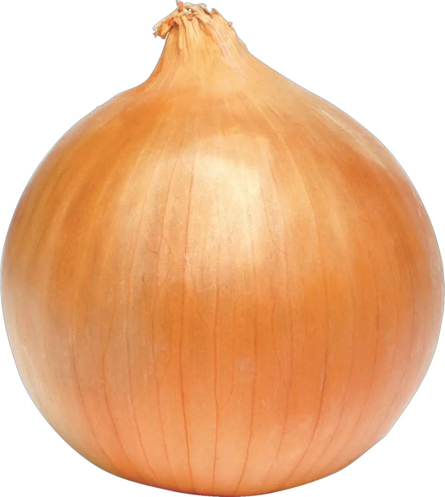 Yellow Onion png