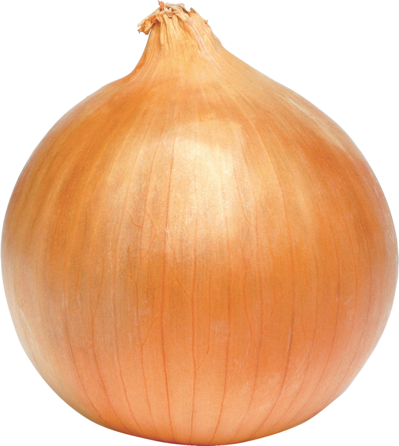 Onion-15
