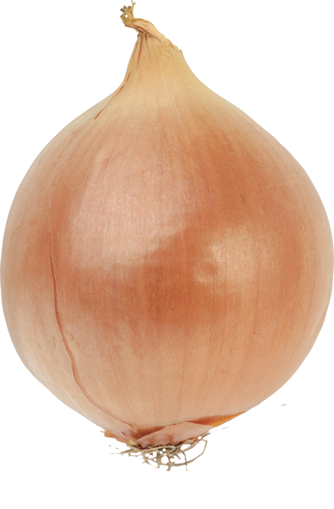 Transparent Onion png