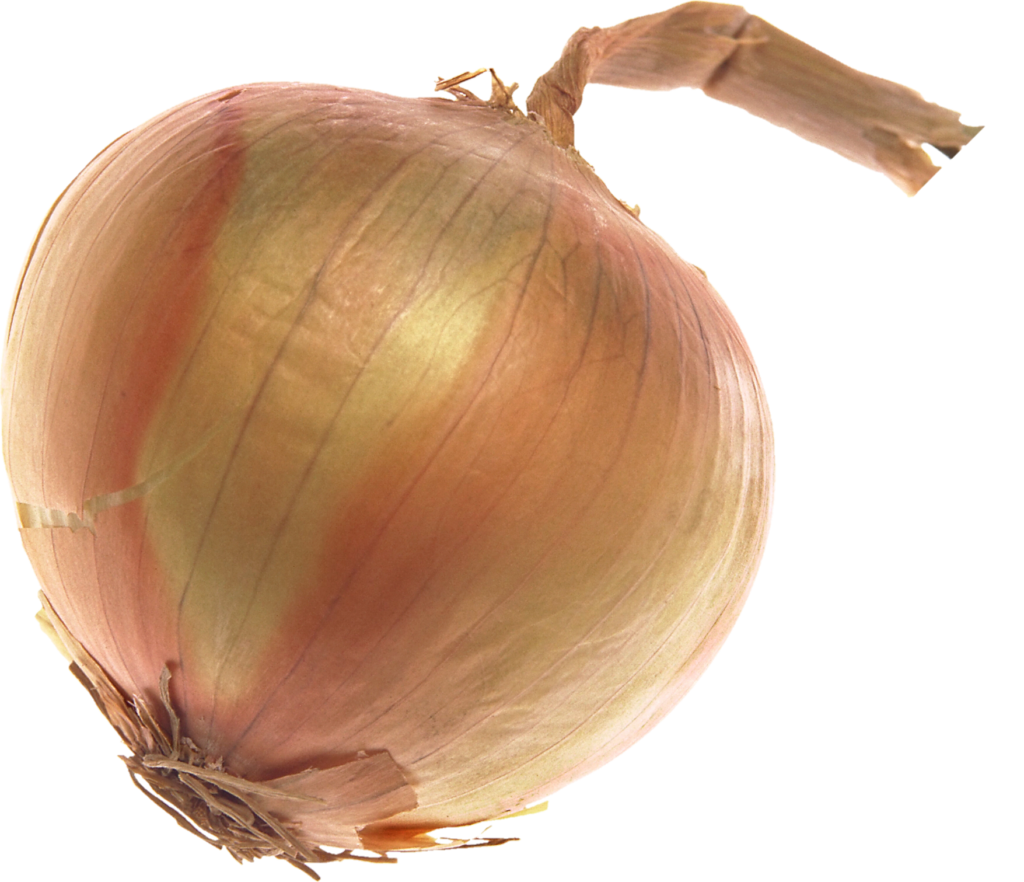 full hd Onion png