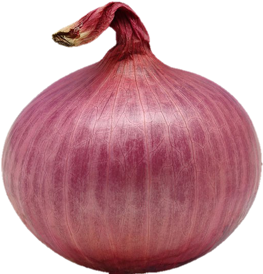 Red Onion png
