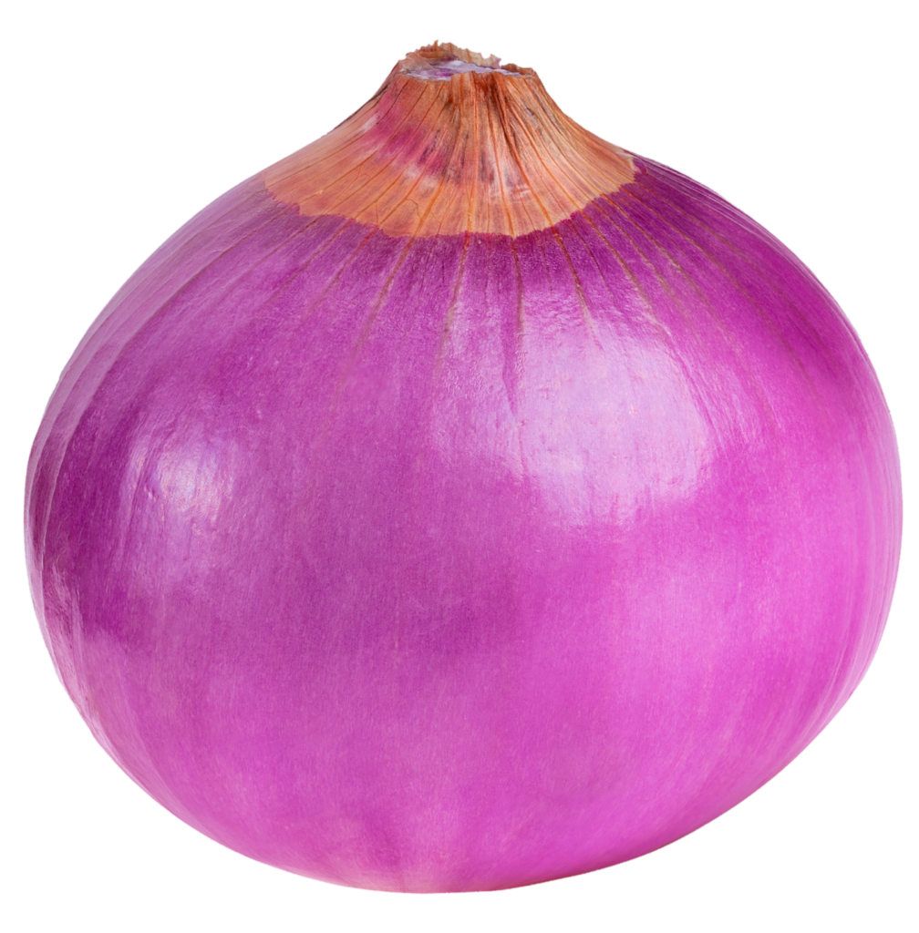 Pink Onion png