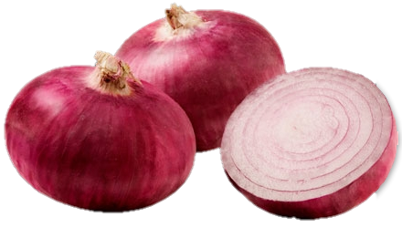 Vegetable Onion png