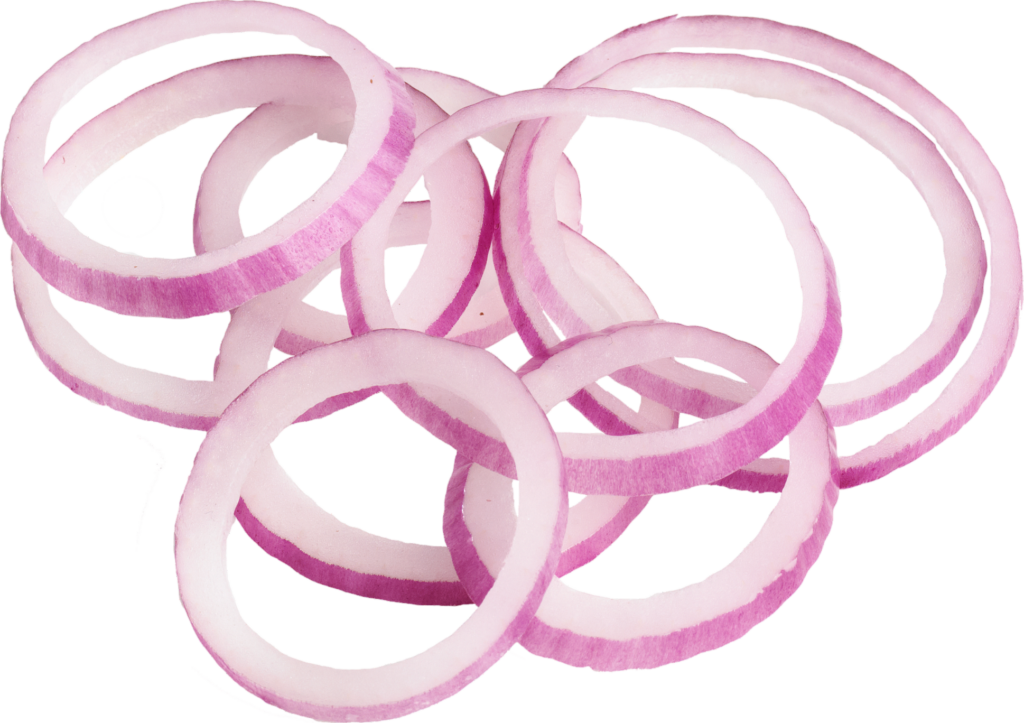 Onion Slice png