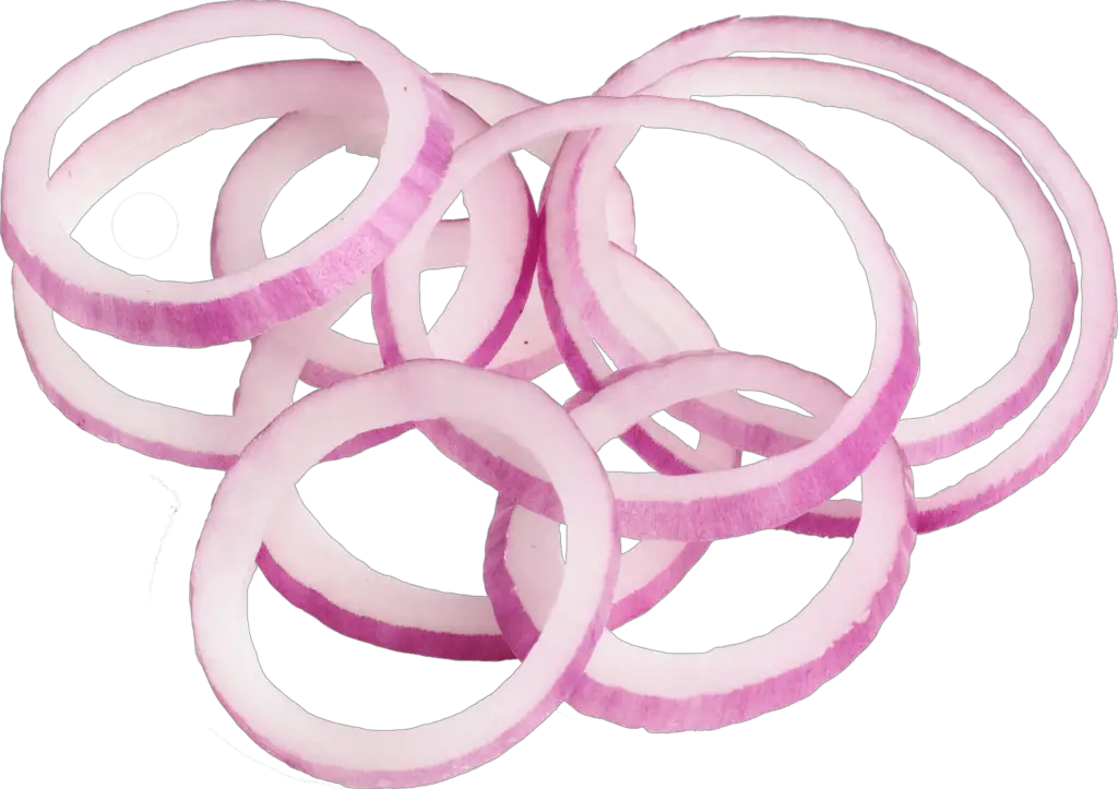 Onion Slice png