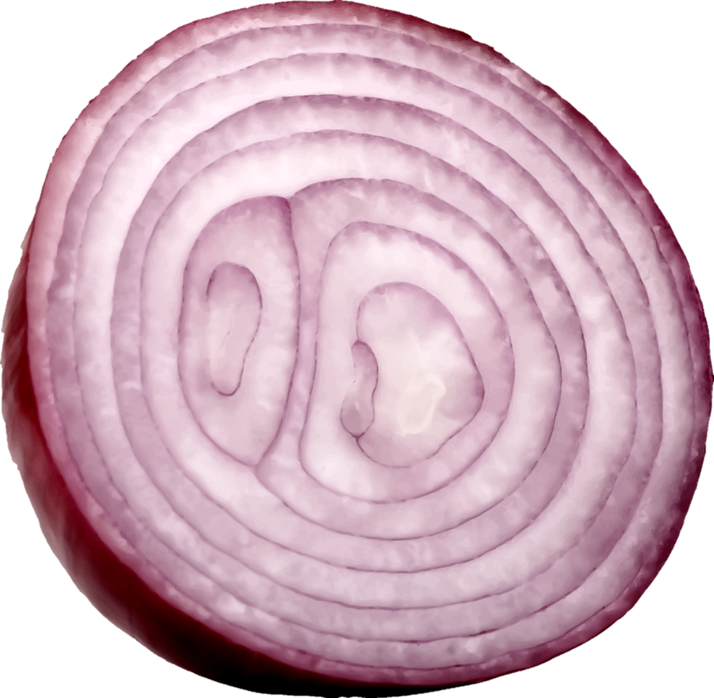 Background Half Onion png