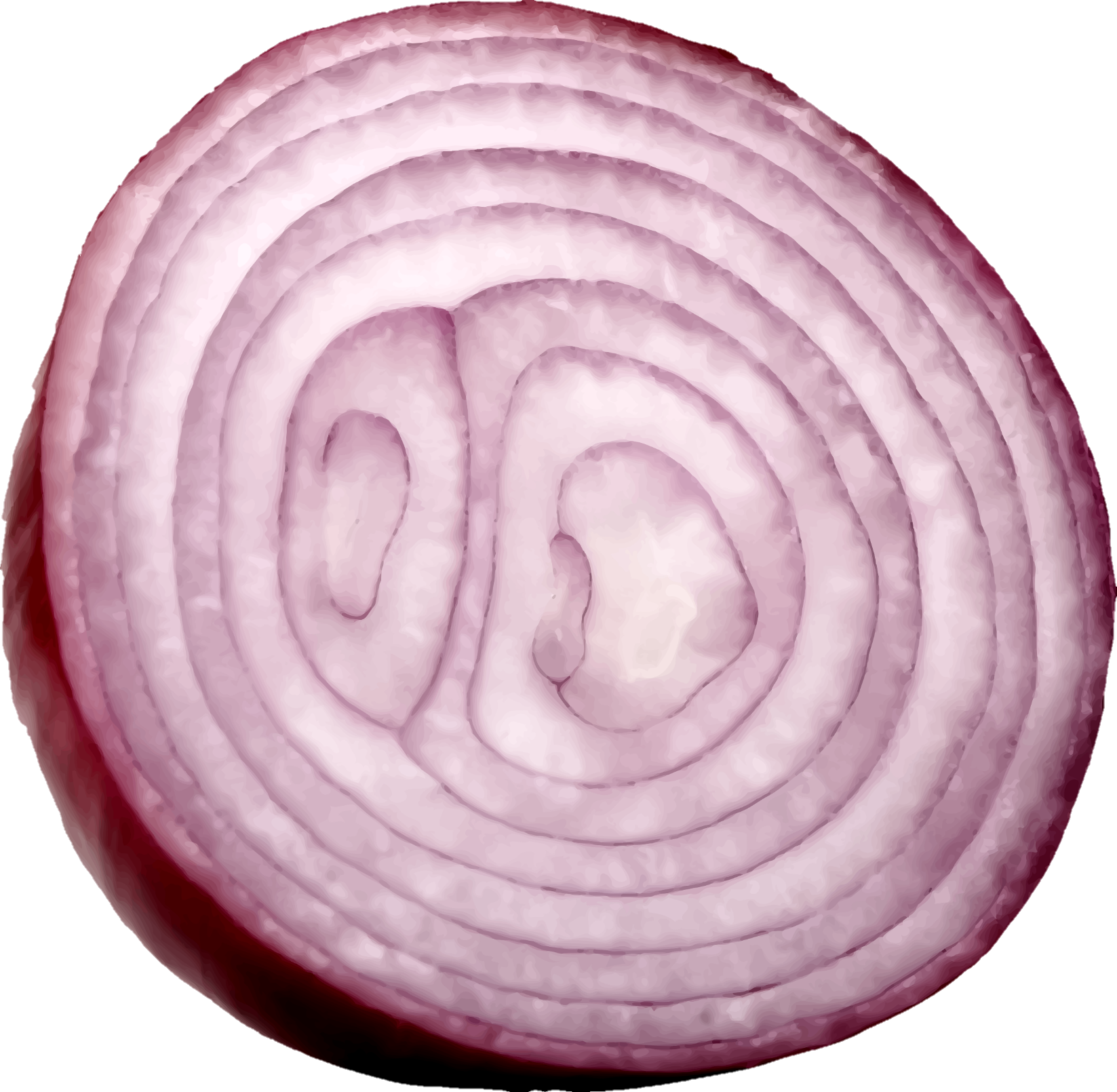 Onion-28