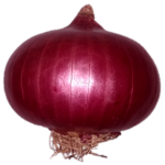 Onion png image