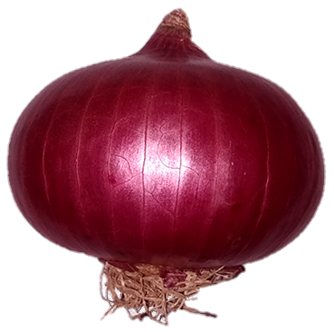 Onion-3