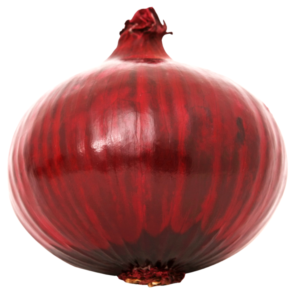 onion png